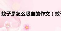 蚊子是怎么吸血的作文(蚊子是怎么吸血的)