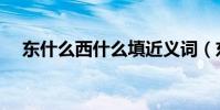 東什么西什么填近義詞(東什么西什么)