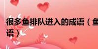 很多魚排隊進入的成語(魚排隊進入是什么成語)