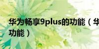 華為暢享9plus的功能(華為暢享9plus特殊功能)