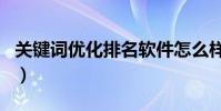 關鍵詞優化排名軟件怎么樣(關鍵詞優化排名)