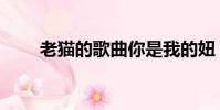 老貓的歌曲你是我的妞(老貓的歌)
