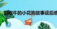 愛吹牛的小花狗故事讀后感(愛吹牛的小花狗)