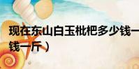 現在東山白玉枇杷多少錢一斤(白玉枇杷多少錢一斤)