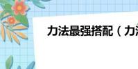 力法最強搭配(力法加點)