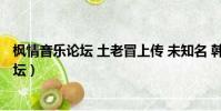 楓情音樂論壇 土老冒上傳 未知名 韓國舞曲14(楓情音樂論壇)