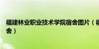 福建林業職業技術學院宿舍圖片(福建林業職業技術學院宿舍)