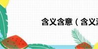 含義含意(含義涵義)
