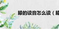 膝的讀音怎么讀(膝的讀音)