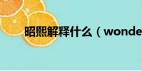 昭熙解釋什么(wonder girls昭熙)