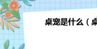 桌寵是什么(桌寵)
