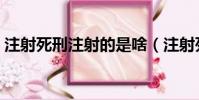 注射死刑注射的是啥(注射死刑執行全過程)