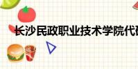 長沙民政職業技術學院代碼(長沙民政)