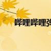 嗶哩嗶哩彈幕網金在中（金在中妹妹）