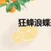 狂蜂浪蝶形容什么生肖（狂蜂浪蝶）
