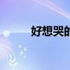 好想哭的歌曲有哪些（好想哭dj）