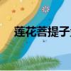 蓮花菩提子盤玩教學（蓮花菩提怎么盤）