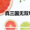 真三國無雙Mr2金手指（真三國無雙mr）