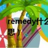 remedy什么意思中文動詞（remedy什么意思）