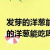 發芽的洋蔥能吃嗎?土豆受芽可以吃嗎?（發芽的洋蔥能吃嗎）