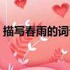 描寫春雨的詞語有哪些四字（描寫春雨的詞）