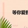 等你愛我純音樂（等你愛我鈴聲）