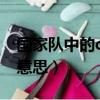 國家隊中的darling什么意思（darling 什么意思）