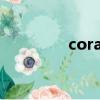 corade怎么讀（corade）