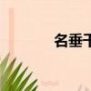 名垂千古下一句（名垂千古）