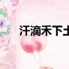 汗滴禾下土是什么意思（汗滴禾下土）