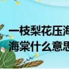 一枝梨花壓海棠什么意思啊圖片（一枝梨花壓海棠什么意思）