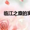 臨江之麋的寓意讀后感（臨江之麋的寓意）