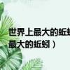 世界上最大的蚯蚓叫吉普高地大蚯蚓生產可達一米（世界上最大的蚯蚓）