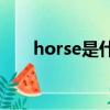 horse是什么意思（lion是什么意思）