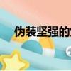 偽裝堅強的女生是什么樣子（偽裝堅強）
