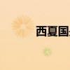 西夏國是怎么滅亡的（西夏國）