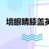 墻眼睛膝蓋英語怎么說諧音（墻眼睛膝蓋）