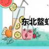 東北鰲蝦怎么做好吃（東北鰲蝦）