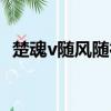 楚魂v隨風隨行本人照片（楚魂v隨風隨行）