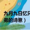 九月九日憶兄弟的詩意是什么（九月九日憶兄弟的詩意）