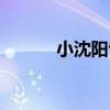小沈陽專場（小沈陽天津演出）