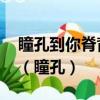 瞳孔到你脊背的距離 在你轉身的那一刻清零（瞳孔）