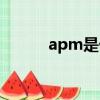 apm是什么芯片（apm是什么）
