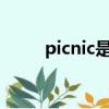 picnic是什么意思翻譯（picnics）