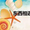東西相遇的作者是誰（東西相遇）