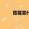 苜蓿菜什么時候種最好（苜蓿菜）