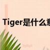 Tiger是什么意思怎么讀（tiger是什么意思）