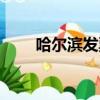 哈爾濱發票真偽查詢（哈爾濱發票）