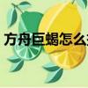 方舟巨蝎怎么把龍打暈（方舟巨蝎能暈龍嗎）