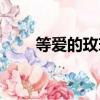 等愛的玫瑰鳳凰傳奇（等愛的玫瑰）